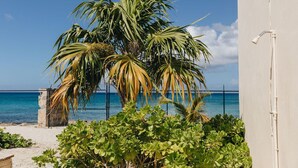 A palm tree and greenery in front of a building with a view of the ocean. - Beachfront Sunset Oasis  Adult-Only, Pool & Views (Frederiksted)