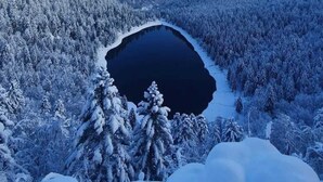 Una vista panorámica de un paisaje nevado con un lago rodeado de bosques densos.