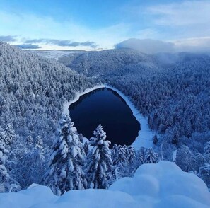 A panoramic view of a snow-covered landscape with a lake surrounded by dense forests.