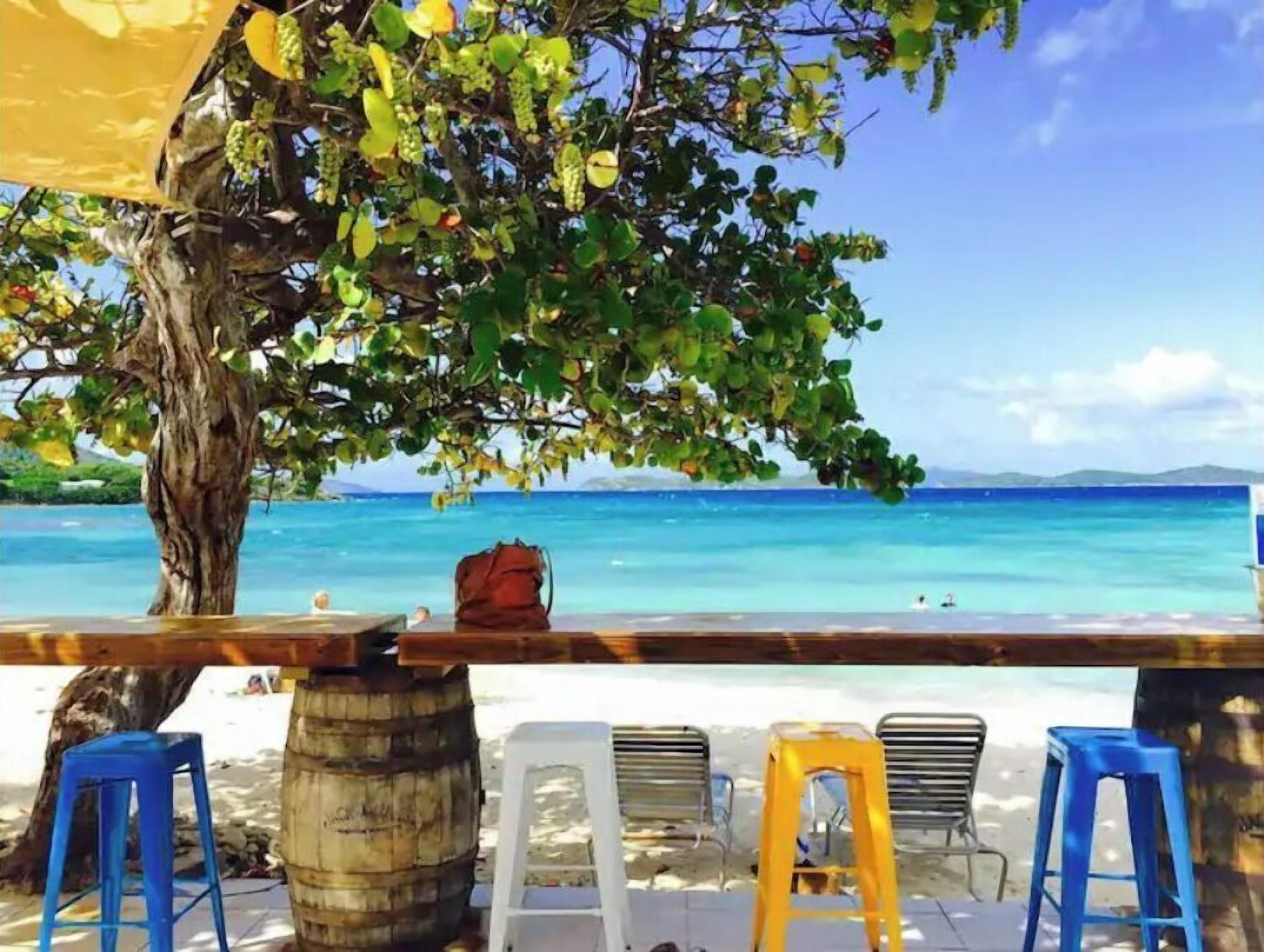 A beachside seating area with a tree, a wooden barrel, and a view of the ocean.