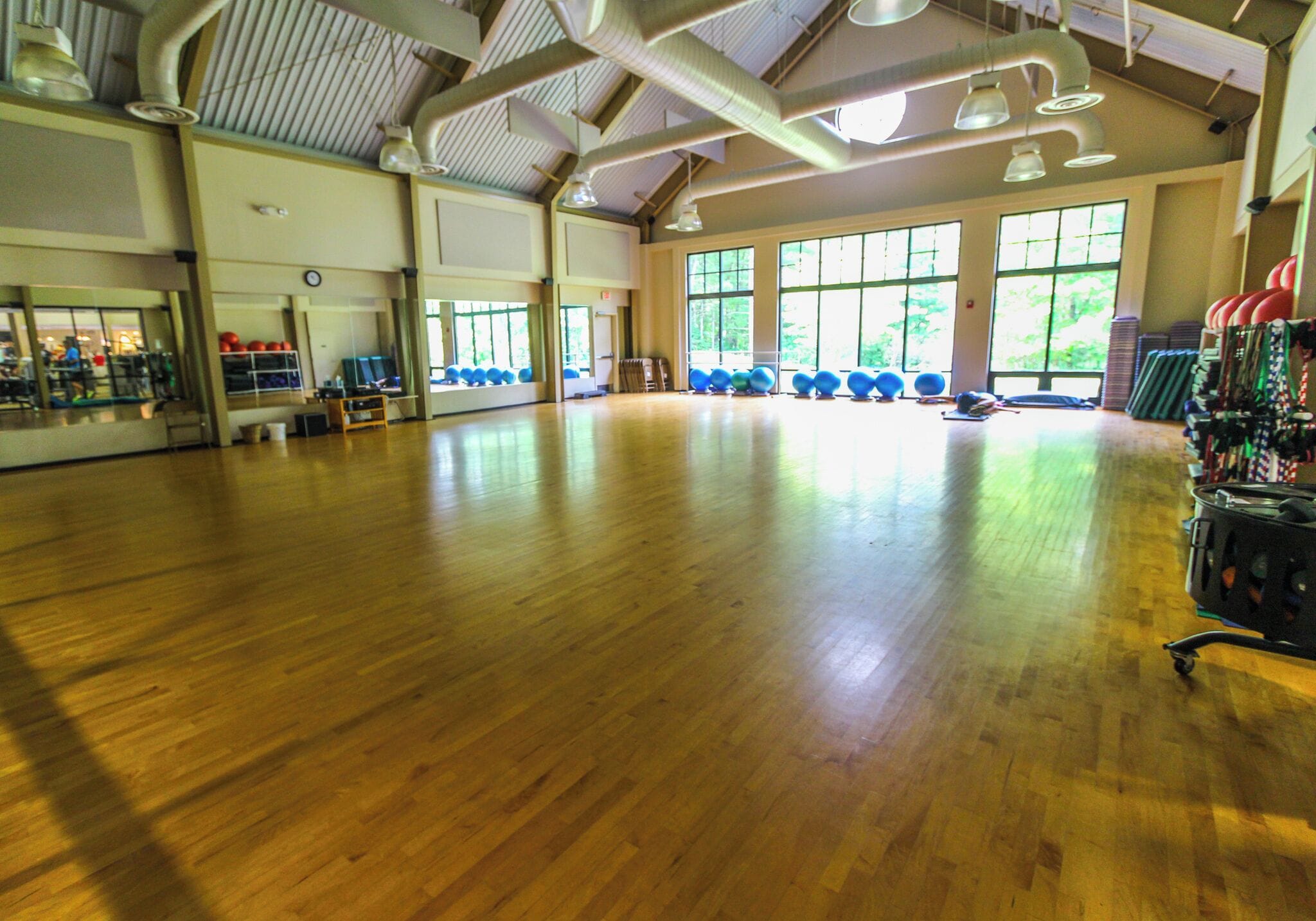 Un vaste espace intérieur doté d’un plancher en bois, de grandes fenêtres et d’équipements d’exercice.