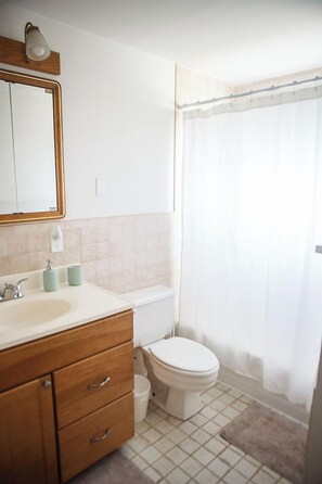 Combined shower/tub, hair dryer, towels