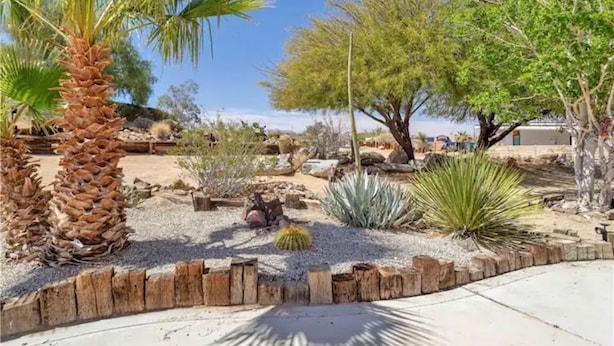 A desert garden with various cacti and trees, a wooden border, and a clear sky. - The Peaceful Retreat (5 min from the park entrance w/ Pool! (Joshua Tree)