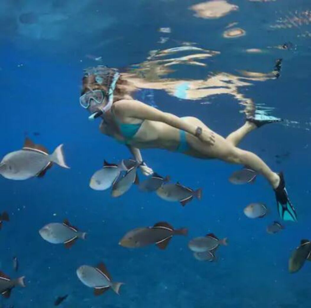 Uma pessoa mergulha de cilindro com um grupo de peixes.