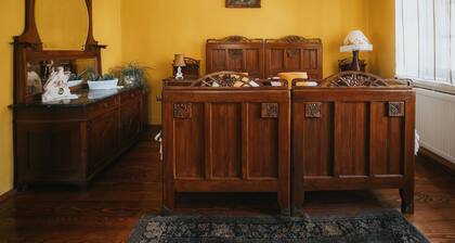 Traditional country house in Baranja - close to Kopački rit!