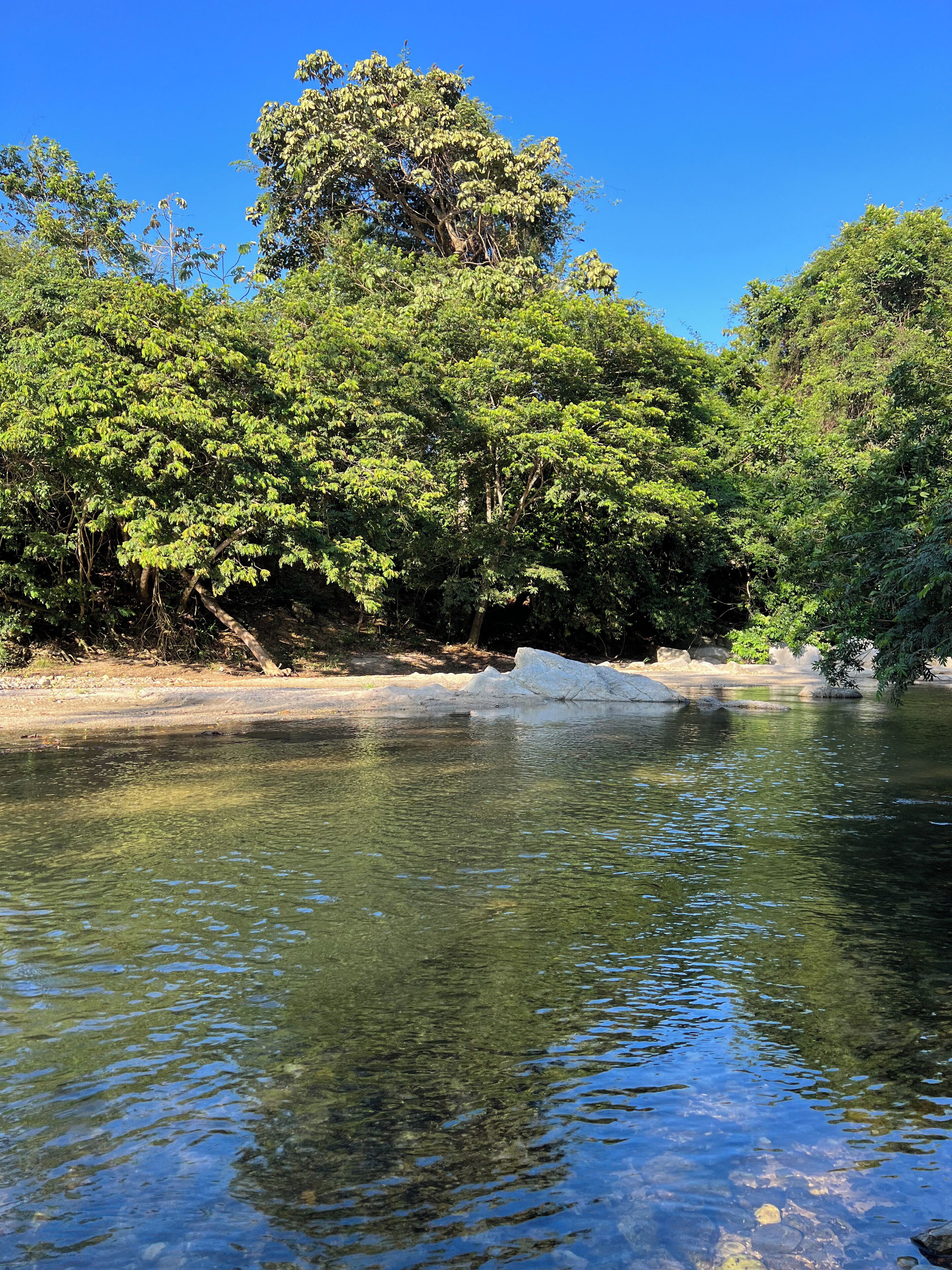 Um rio com águas cristalinas e vegetação exuberante ao redor.