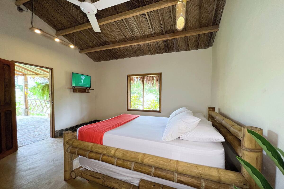 A room with a bed, a ceiling fan, a TV, and a window.