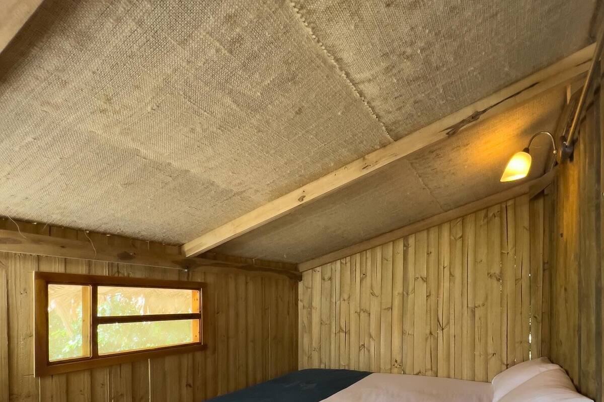 A wooden room with a bed, a window, and a wall-mounted light fixture.