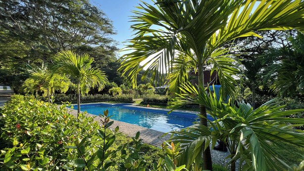 A swimming pool surrounded by lush greenery and trees. - Tayrona Cachaco River  (Santa Marta)