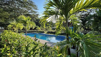 Piscina externa