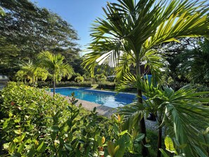 A swimming pool surrounded by lush greenery and trees. - Tayrona Cachaco River  (Santa Marta)