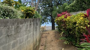 A concrete pathway leading to a beach, surrounded by lush greenery and a variety of plants. - Beachfront Community Ocean View 2Br/2Ba in Los Almendros, Playa Ocotal (Playa Ocotal)