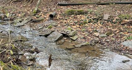 Mountain stream home near snowshoe. Sleeps 8. 3bedroom, 2bath