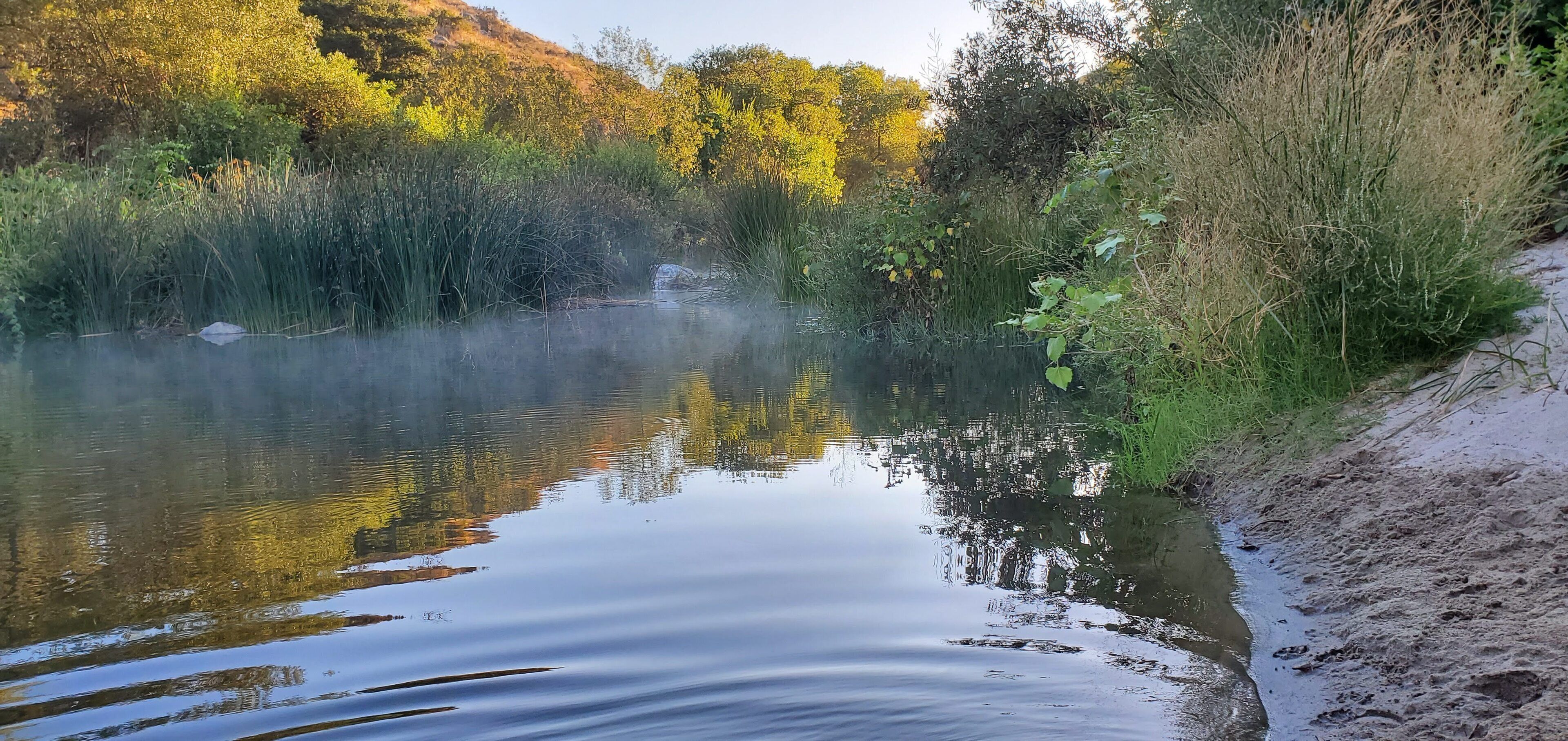 Ein ruhiger Fluss mit dichter Vegetation und Bäumen, deren Spiegelung sich im Wasser zeigt.
