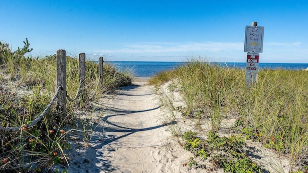 A sandy beach path leading to the ocean with a 'No Dogs on Beach' sign. - Studio steps to a private beach!! Ocean views from backyard!! 2 Paddle Boards!!  (Dennis)
