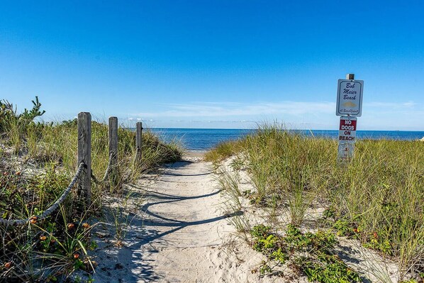 On the beach, sun loungers - Studio steps to a private beach!! Ocean views from backyard!! 2 Paddle Boards!! (Dennis)