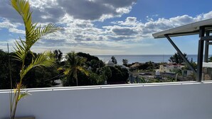 A balcony with a view of the sea and a wooden planter with a palm tree. - Private Spacious villa  Ocean view and Rooftop Bar. Tourism Authority licence. (Flic en Flac)