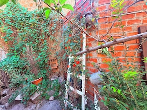 En trädgårdsdel med en mur av tegelstenar, klätterväxter och ett trästaket.
