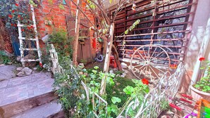 A garden with a wooden ladder, a wheelbarrow, and a variety of plants. - Casa de huespedes La Casa Bonita (La Paz)