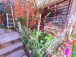 Property grounds - Casa de huespedes La Casa Bonita (La Paz)