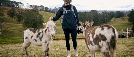 Enceinte de lâhĂ©bergement
