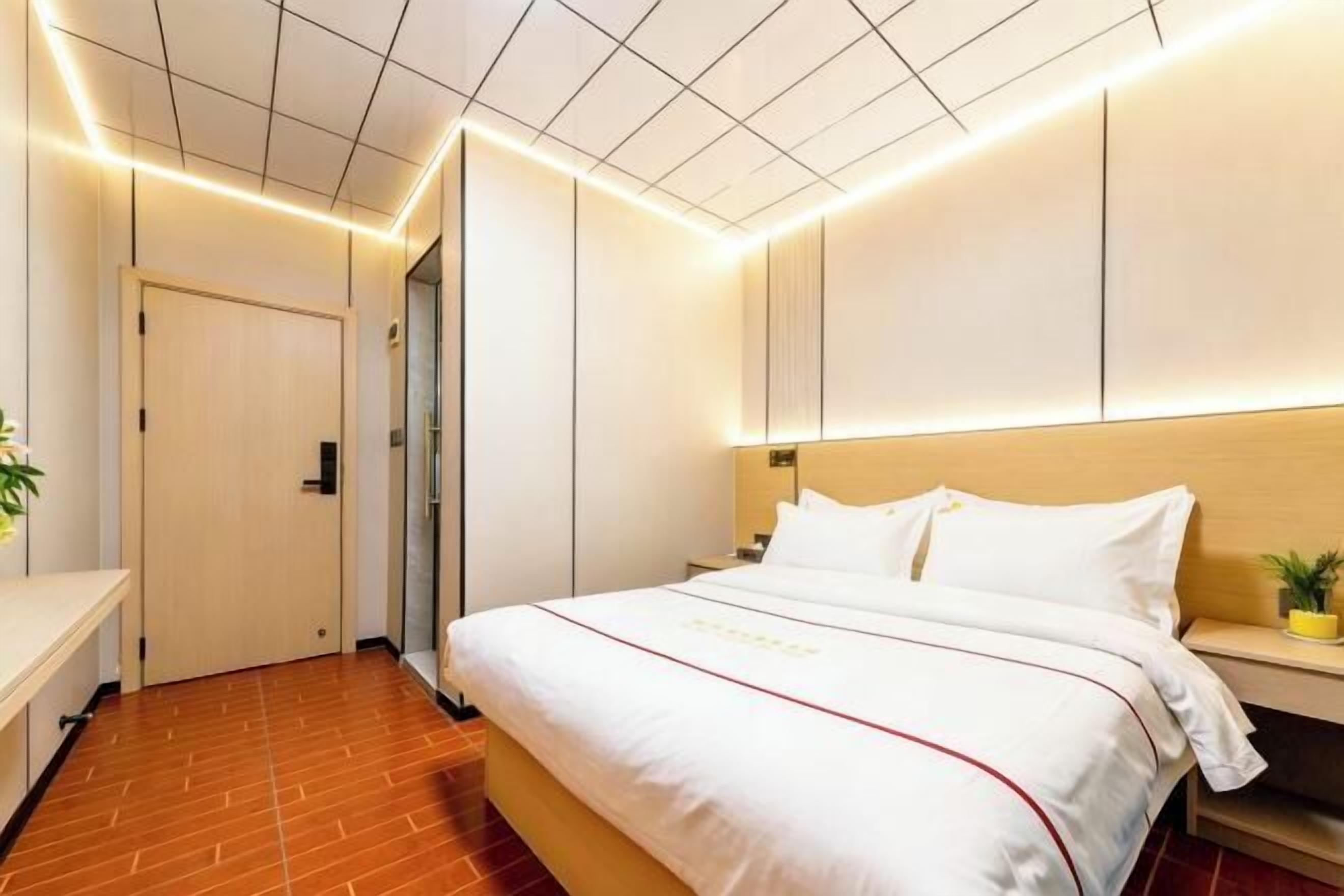 A hotel room with a bed, bedside table, and a small potted plant.