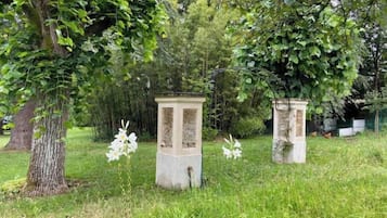 Terrein van de accommodatie