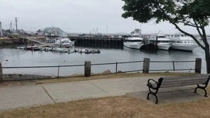 Une vue sur le front de mer, avec un quai, des bateaux et un banc.