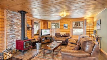 Tv, eldstad och en stereo