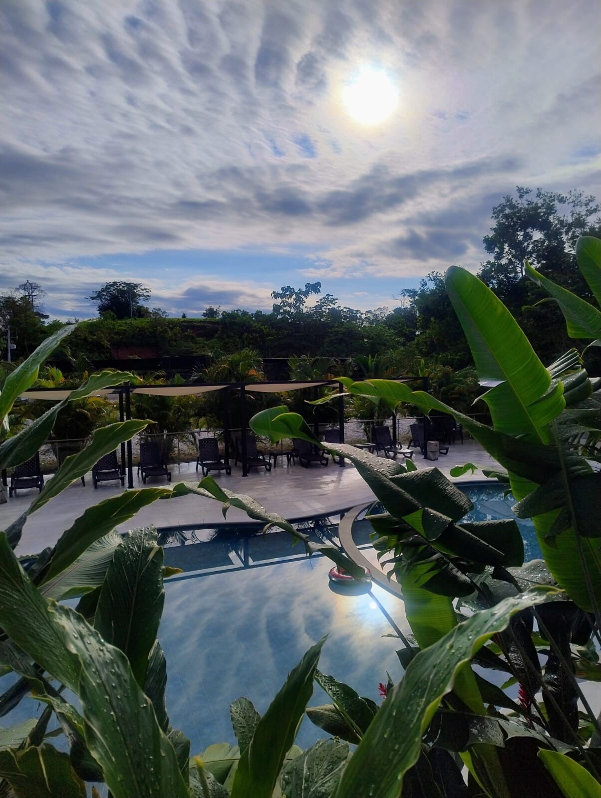 A poolside area with lounge chairs and umbrellas, surrounded by lush greenery.