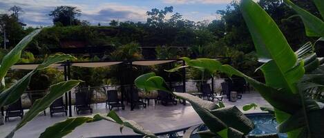 Zona de piscina con sillones de playa y sombrillas, rodeada de exuberante vegetación.