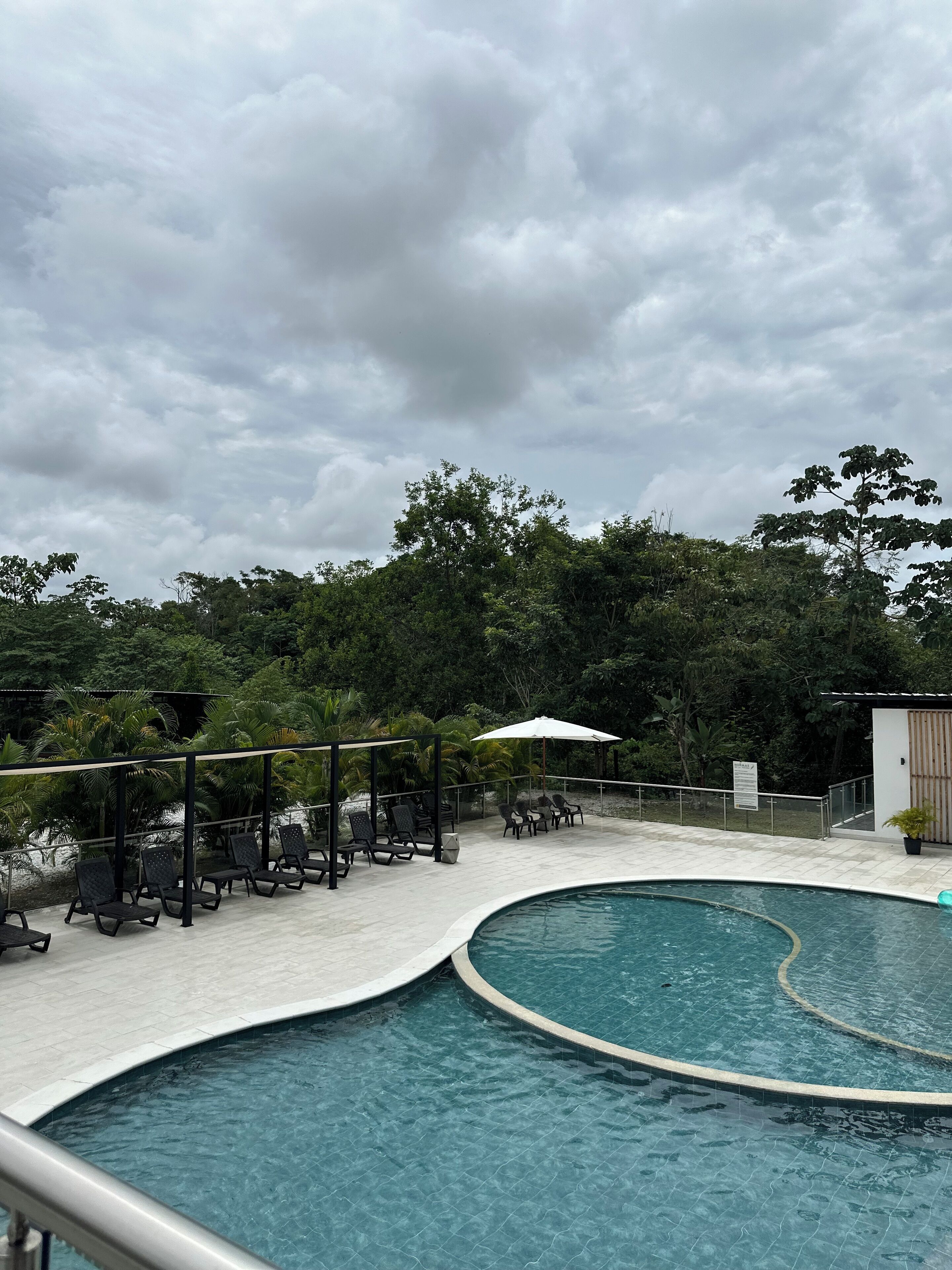 Una piscina con sillas de descanso y sombrillas, rodeada de abundante vegetación.