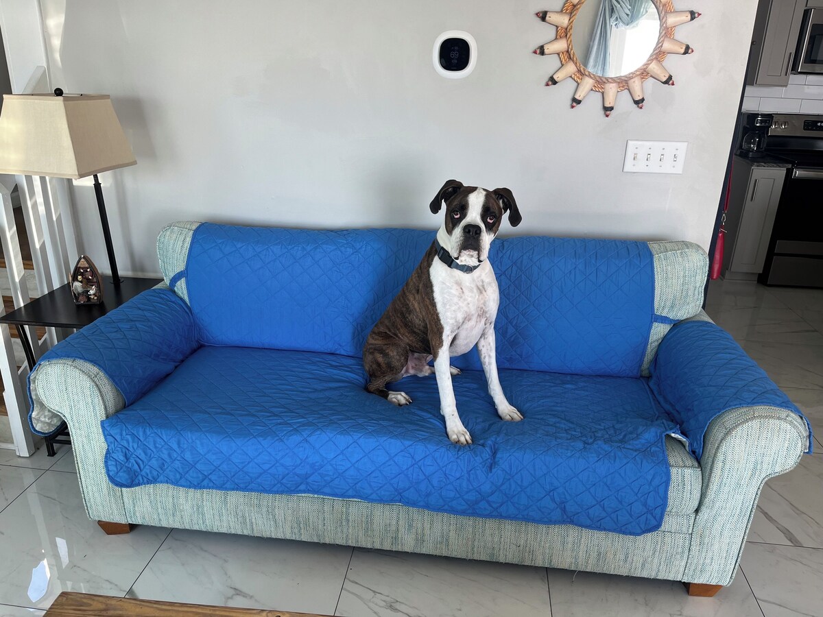 オーナーのプロフィール画像