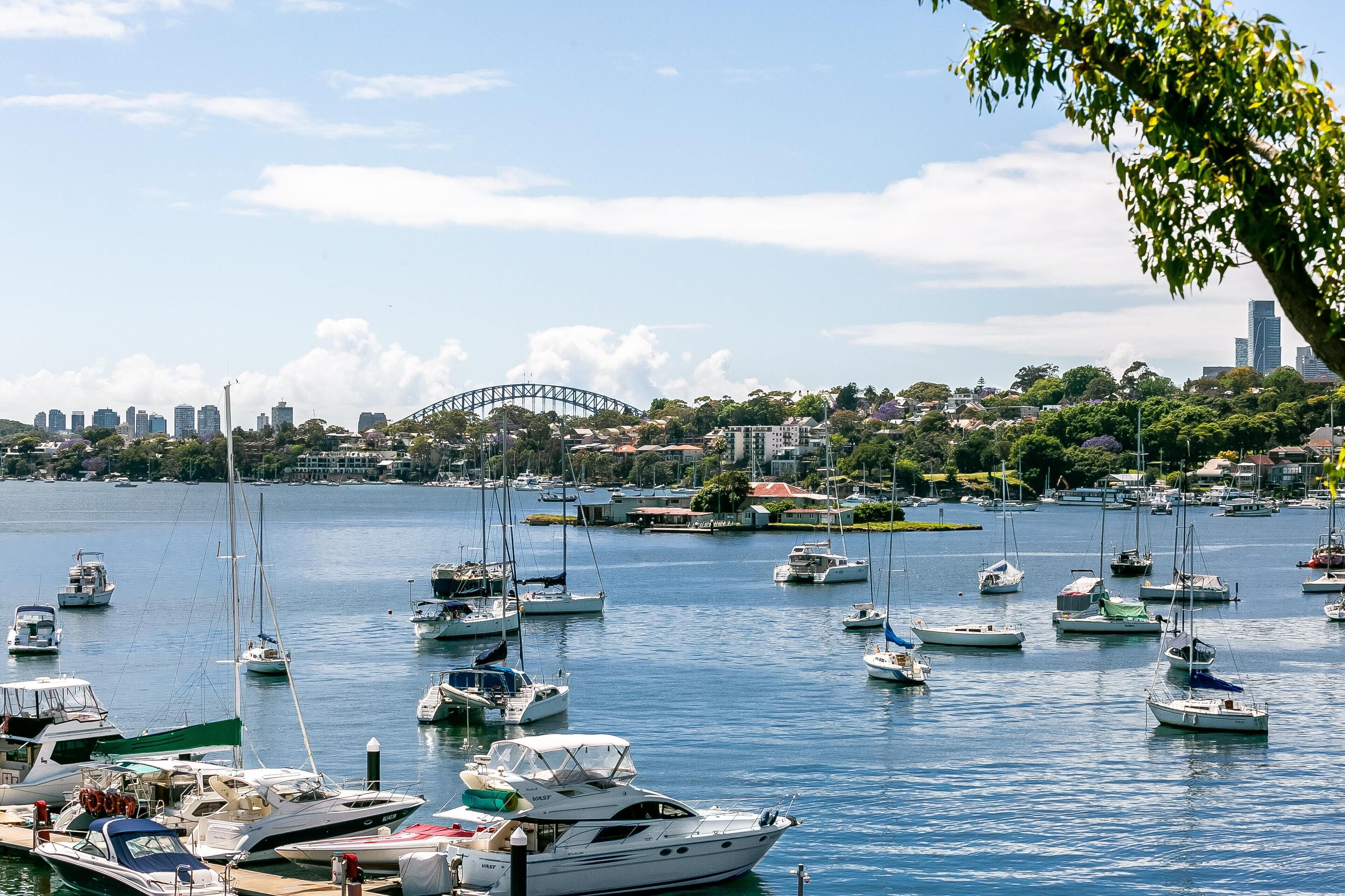 A marina with various boats docked, a prominent bridge in the background, and a city skyline.