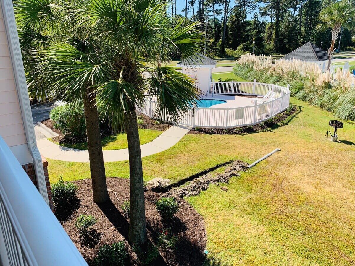 A backyard with a circular pool, palm trees, and a white fence.