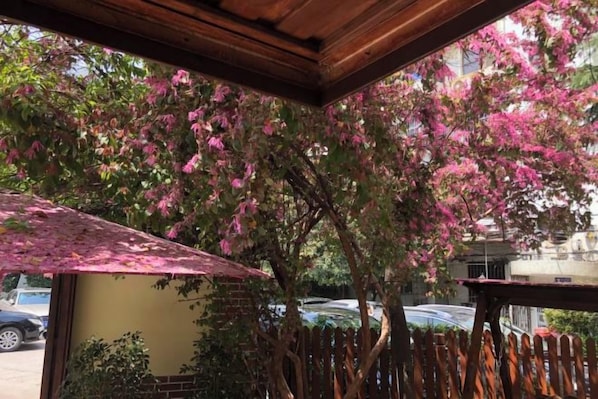 A covered outdoor area with a wooden ceiling, a wooden fence, and pink flowering trees.