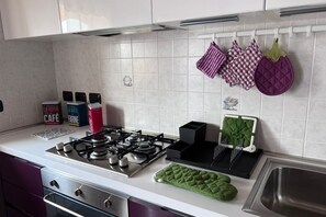 Fridge, oven, stovetop, dishwasher