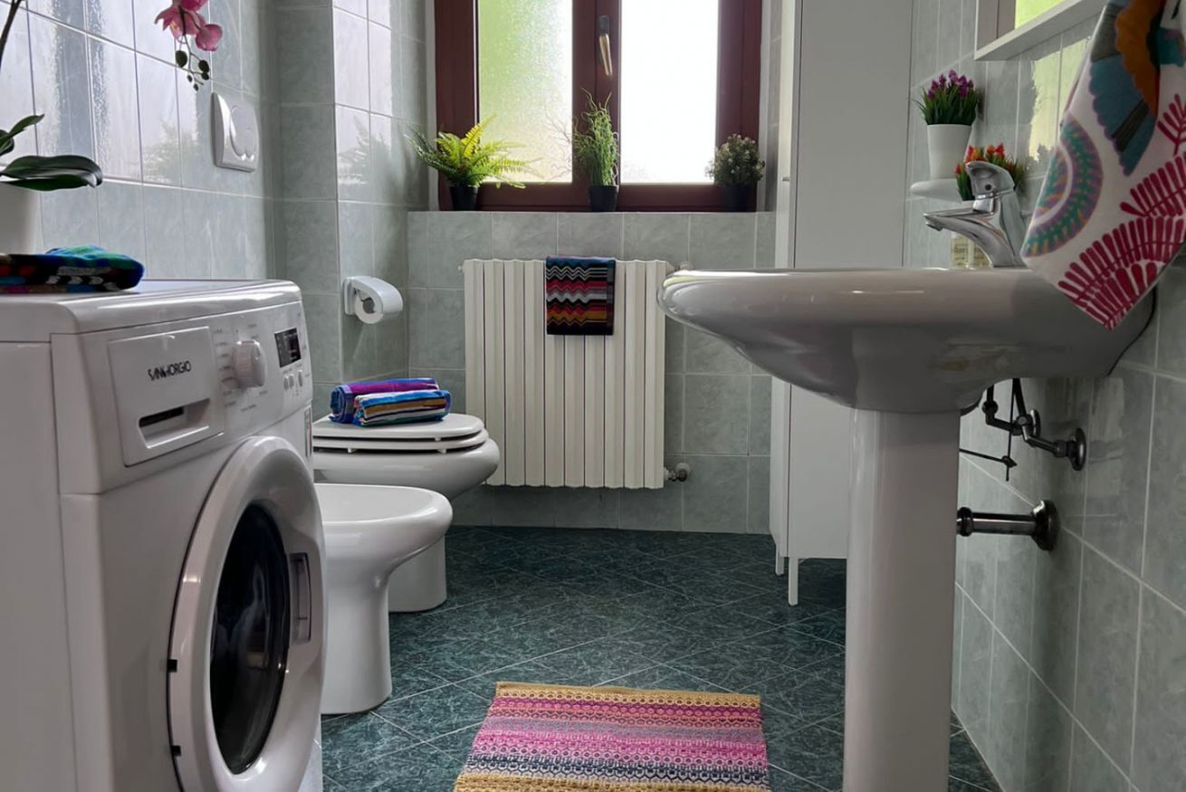 Une salle de bain équipée d’un lave-linge, de toilettes et d’un lavabo.