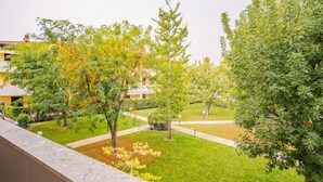 A courtyard with a lawn, trees, and a pathway.