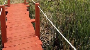 Un puente de madera que conduce a un campo con hierba alta y árboles al fondo.