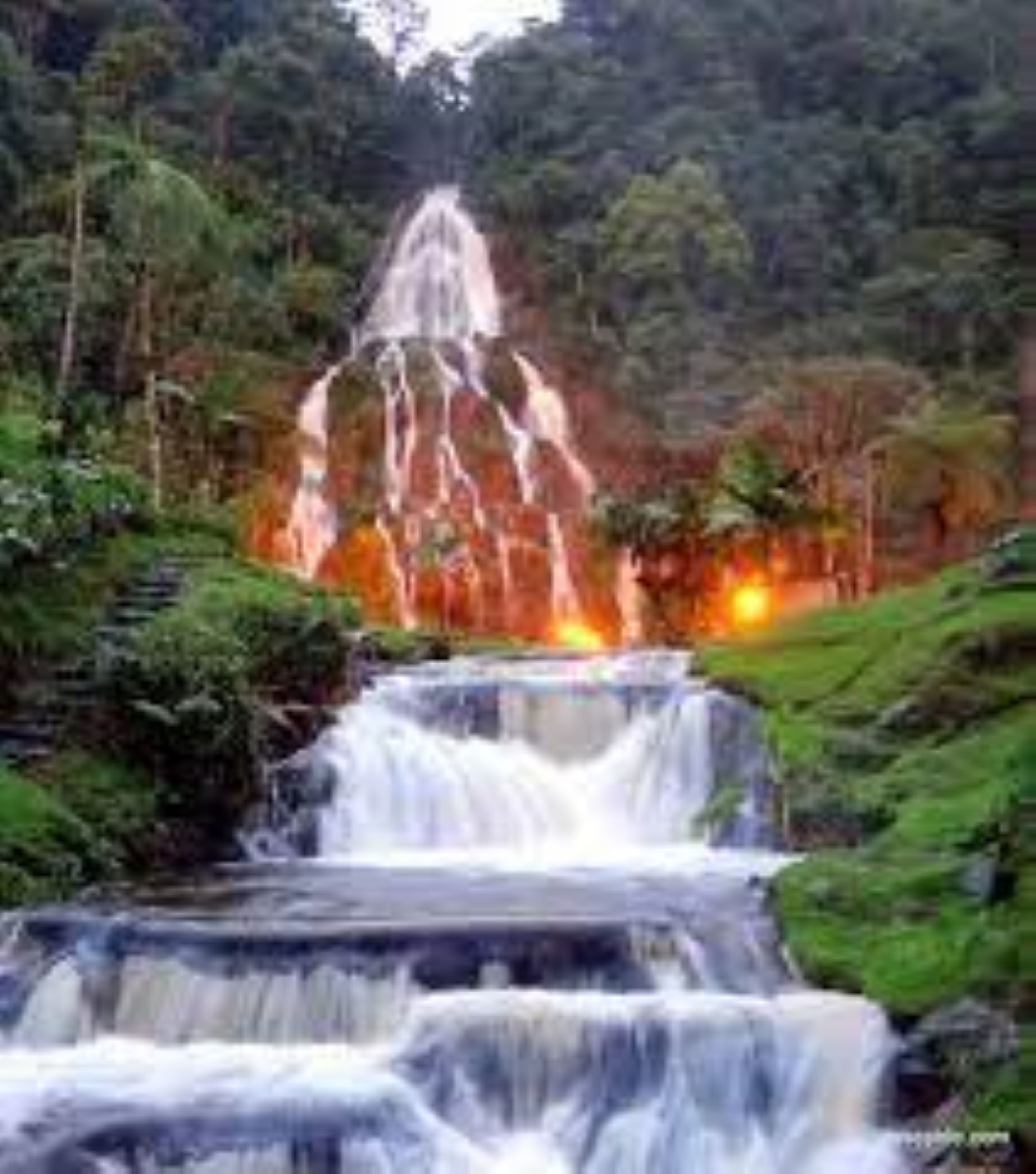 Una cascada se precipita en varios niveles dentro de un exuberante bosque verde.