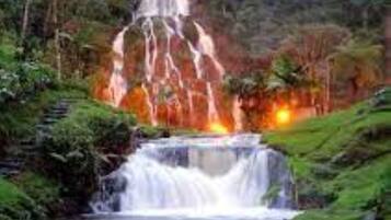 Una cascada se precipita en varios niveles dentro de un exuberante bosque verde.