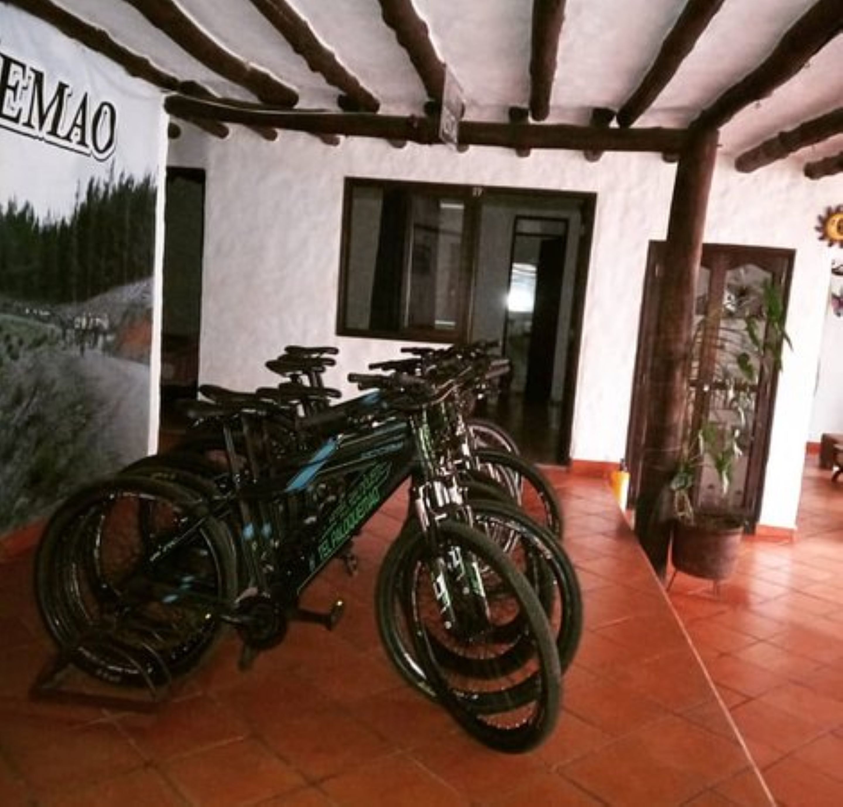 ركوب الدراجات