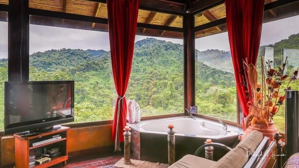 Ein Zimmer mit großem Fenster, Fernseher, Whirlpool und Holzboden.