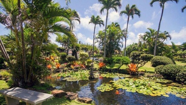 A tropical garden with a pond, palm trees, and a bench.