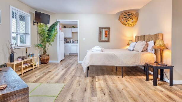 A bedroom with a bed, bedside tables, a potted plant, a mirror, and a wall-mounted TV. - Far East Escape: Zen apartment, Japanese tea table (Salem)