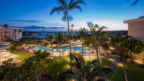 A resort with a large swimming pool, palm trees, and a view of the ocean.