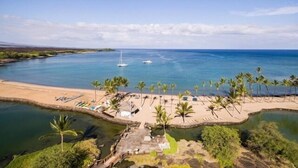 A beach with palm trees, a small dock, and a clear blue sea.
