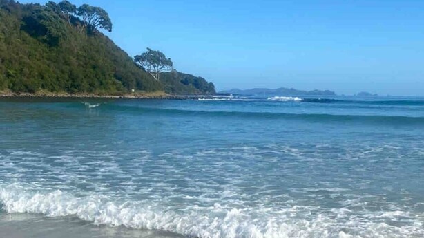 Une plage à l’eau claire et aux vagues douces, un rivage sablonneux et, en arrière-plan, une colline boisée.
