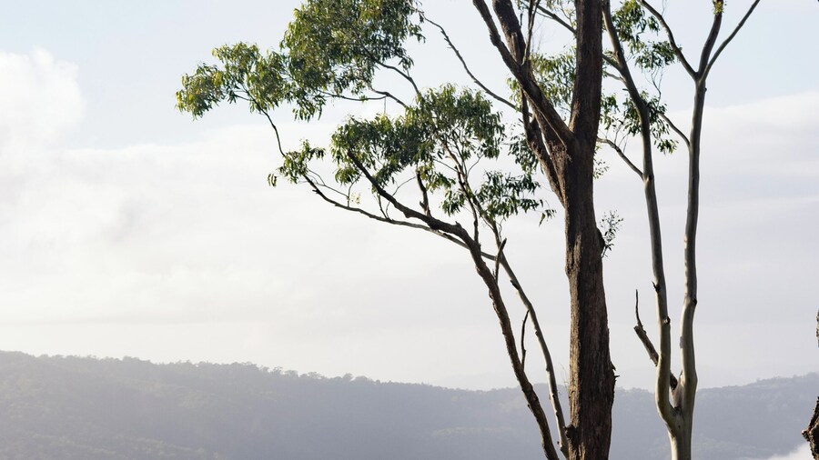 Verandah House Country Estate